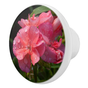 Türgriff, rosa Blume Keramikknauf