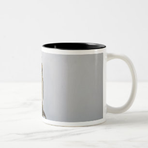 Türgriffe, 1898-99 zweifarbige tasse