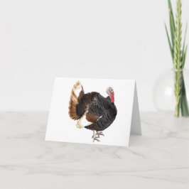 Türkei-Blankokarte Karte