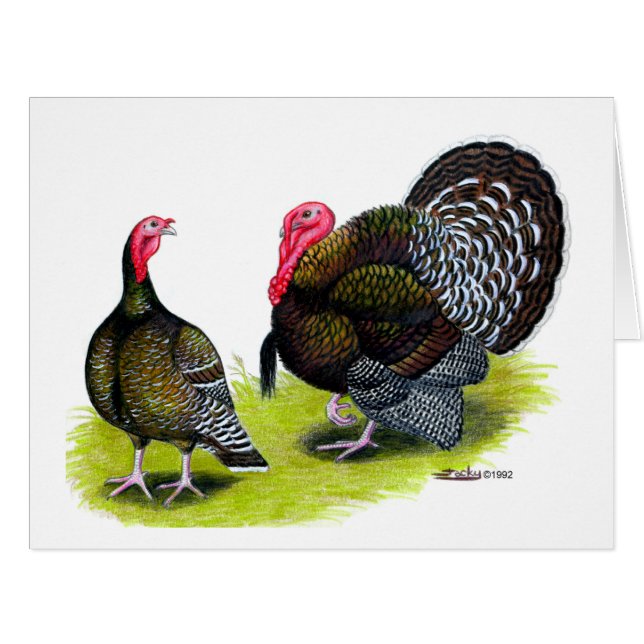 Türkei Broad Breastes Bronze (Vorderseite (Horizontal))