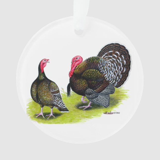 Türkei Broad Breastes Bronze Ornament (Vorderseite)