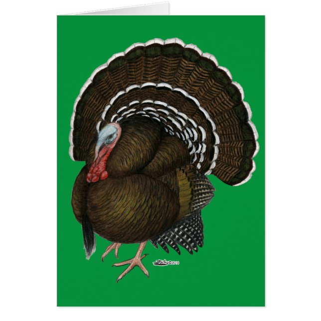 Türkei Bronze Tom (Vorne)