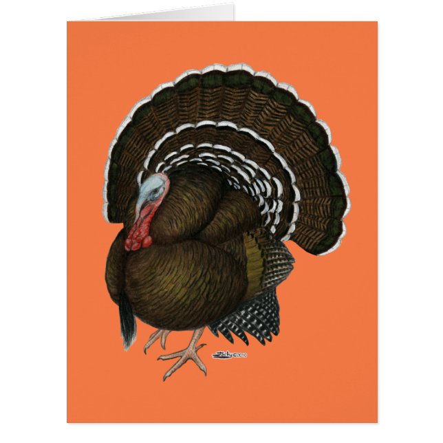 Türkei Bronze Tom (Vorderseite)