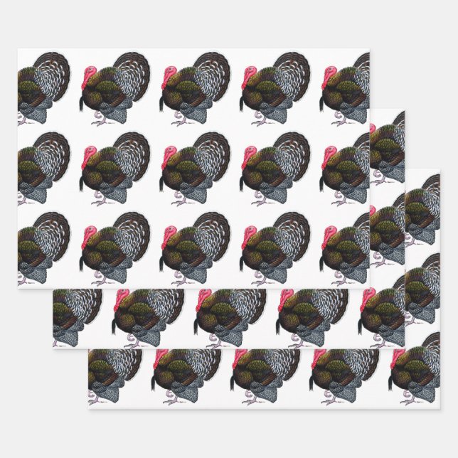 Türkei:  Bronze Tom Geschenkpapier Set (Set)