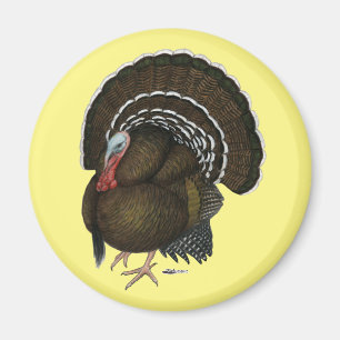 Türkei Bronze Tom Magnet