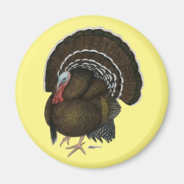 Türkei Bronze Tom Magnet (Vorne)