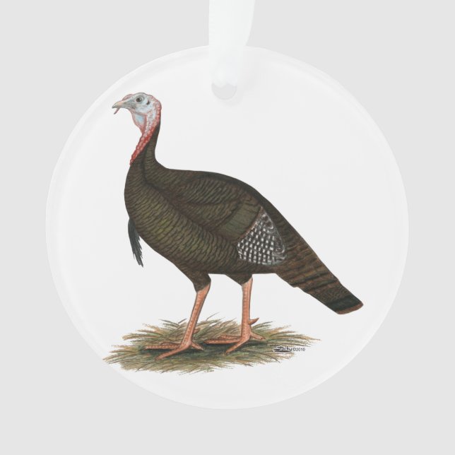 Türkei:  Eastern Wild Tom Ornament (Vorderseite)