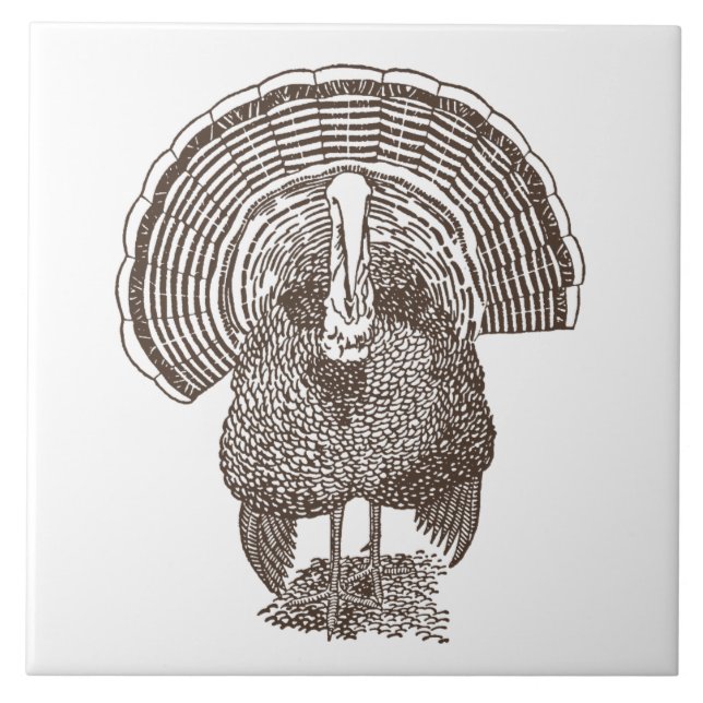 Türkei Fliese (Vorderseite)