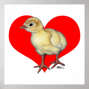 Türkei Poult Heart Poster