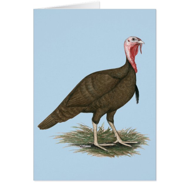 Türkei Schokolade Tom (Vorne)