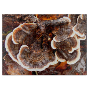 Türkei Schwanz Fungi Glass Chopping Board Schneidebrett