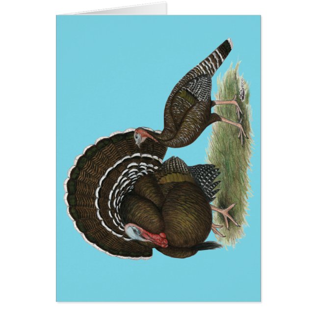 Türkei Standard Bronze (Vorne)