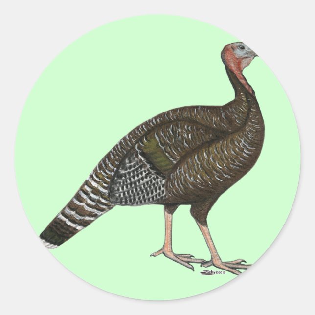 Türkei: Standard Bronze Hen Runder Aufkleber (Vorderseite)