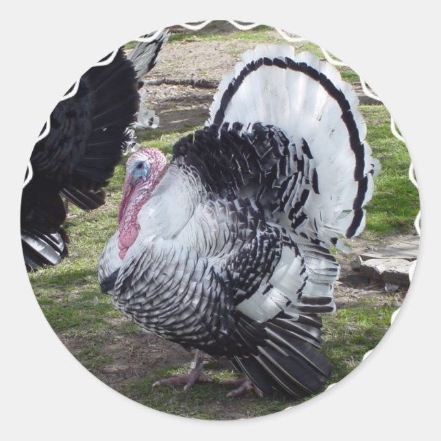Türkei Stickers (Vorderseite)