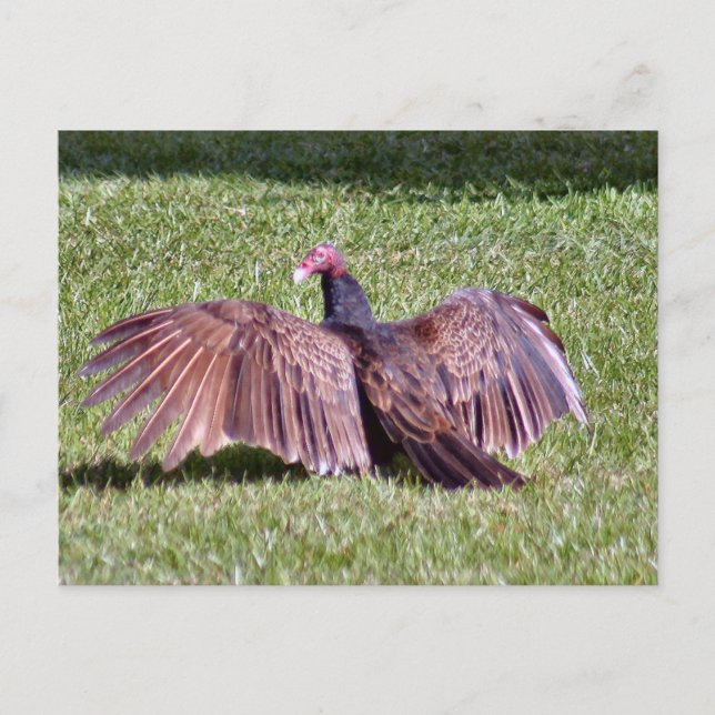 Türkei Vulkan Foto Postcard Postkarte (Vorderseite)