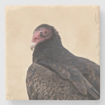 Türkei Vulture Portrait Stone Untersetzer