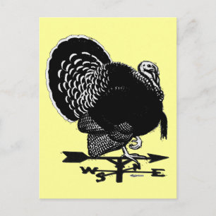 Türkei Weathervane Postkarte