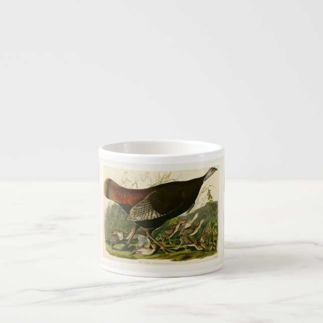Türkei Wild Audubon Bird Painting Espressotasse (Vorderseite)