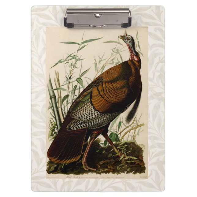Türkei Wild Audubon Bird Painting Klemmbrett (Vorderseite)