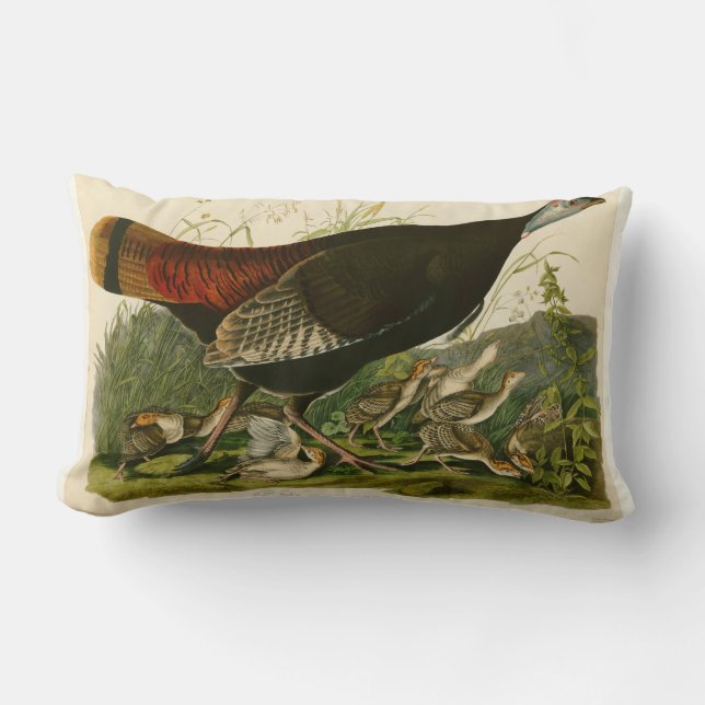 Türkei Wild Audubon Bird Painting Lendenkissen (Vorderseite)