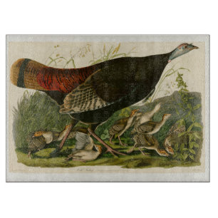 Türkei Wild Audubon Bird Painting Schneidebrett