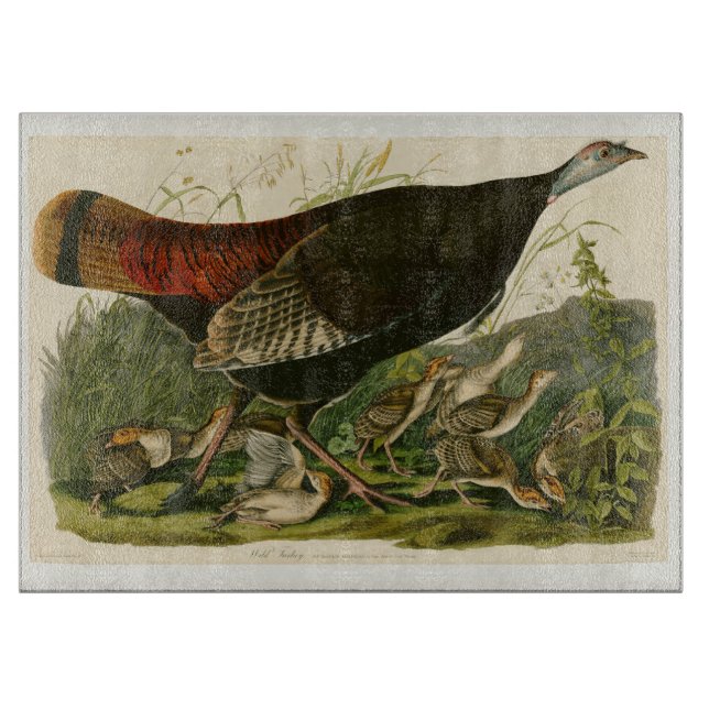 Türkei Wild Audubon Bird Painting Schneidebrett (Vorderseite)