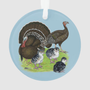 Türkeistandardbronzefamilie Ornament