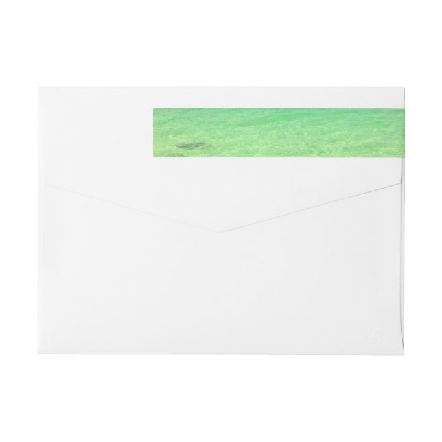 Türken des Aqua-grüne Ozean-| und Caicos-Foto (Rückseite)