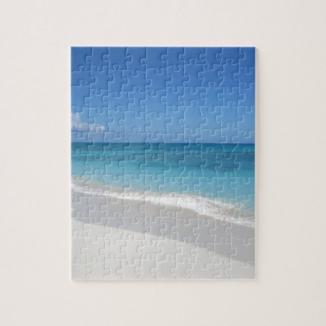 Türken und Caicostraumstrand (Vertikal)