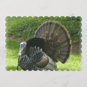 turkey-1.jpg einladung