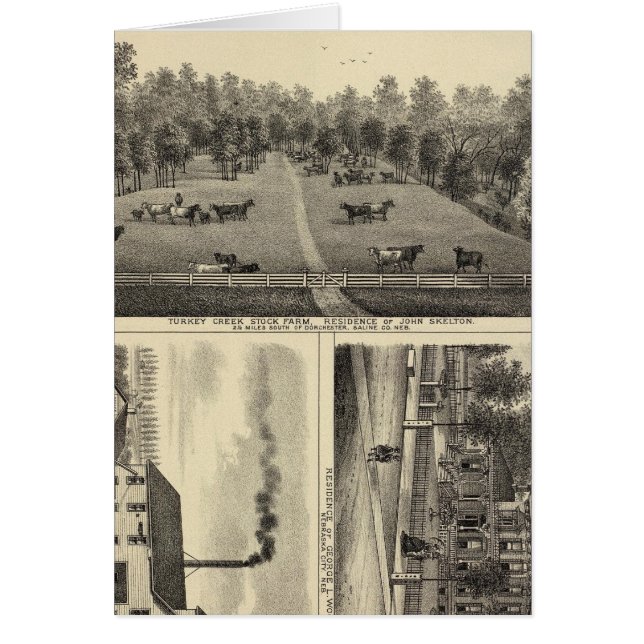 Turkey Creek Farm, Nebraska (Devant)