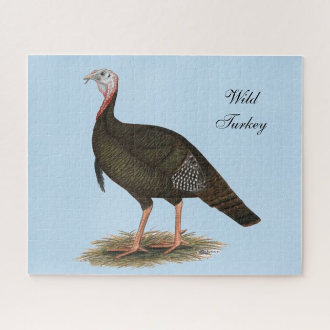 Turkey: Eastern Wild Tom (Horizontal)