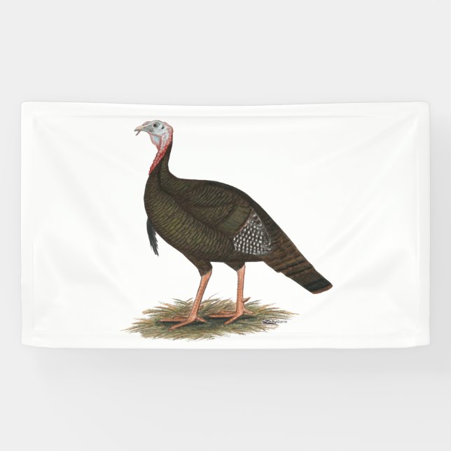 Turkey: Eastern Wild Tom Banner (Horizontal)