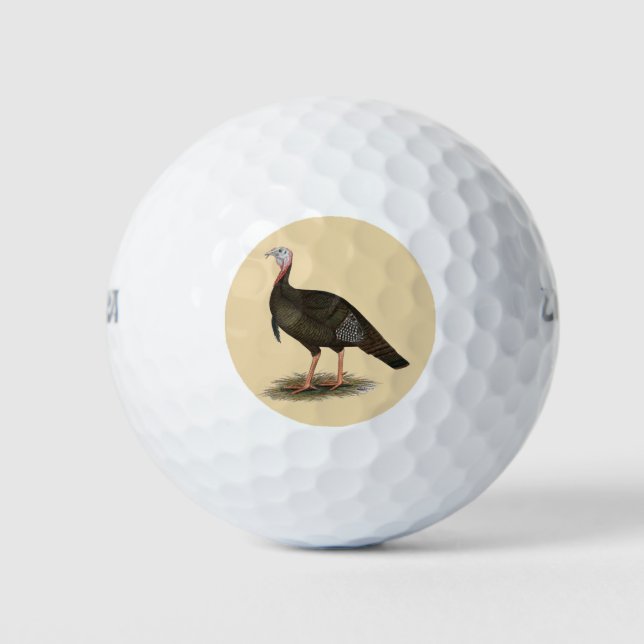 Turkey: Eastern Wild Tom Golfball (Vorderseite)