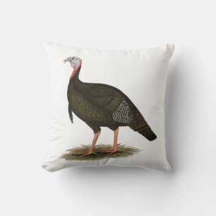 Turkey: Eastern Wild Tom Kissen