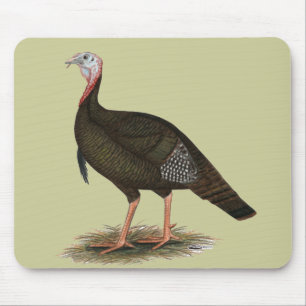 Turkey: Eastern Wild Tom Mousepad
