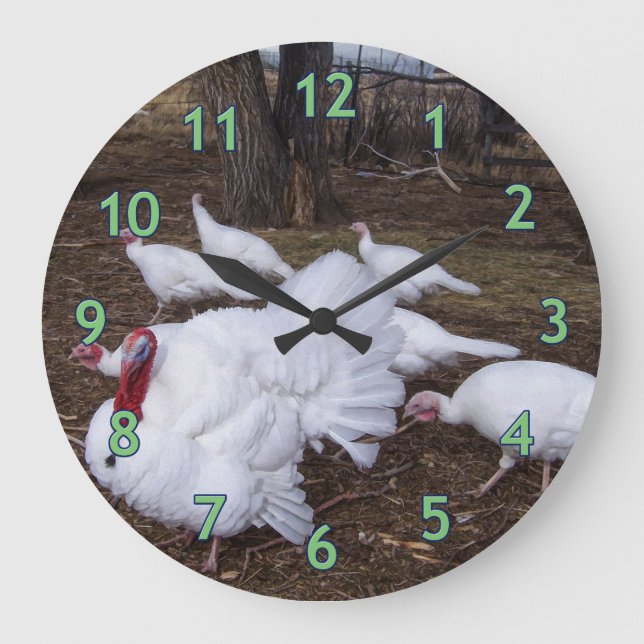 Turkey Flock Große Wanduhr (Vorderseite)