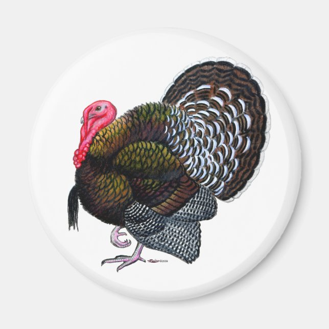 Turkey Magnet (Vorne)