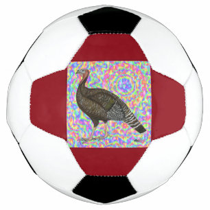 Turkey Rainbow Fußball
