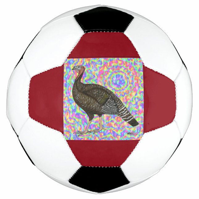 Turkey Rainbow Fußball (Vorderseite)