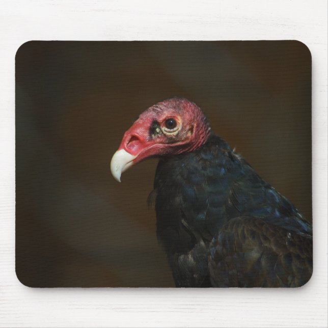 Turkey Vulture Mousepad (Vorne)