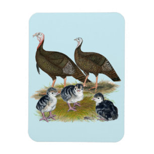 Turkeys Eastern Wild Family Magnet