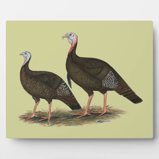 Turkeys Eastern Wild Pair Fotoplatte (Vorderseite)