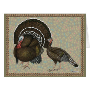 Turkeys Standard Bronze Portrait