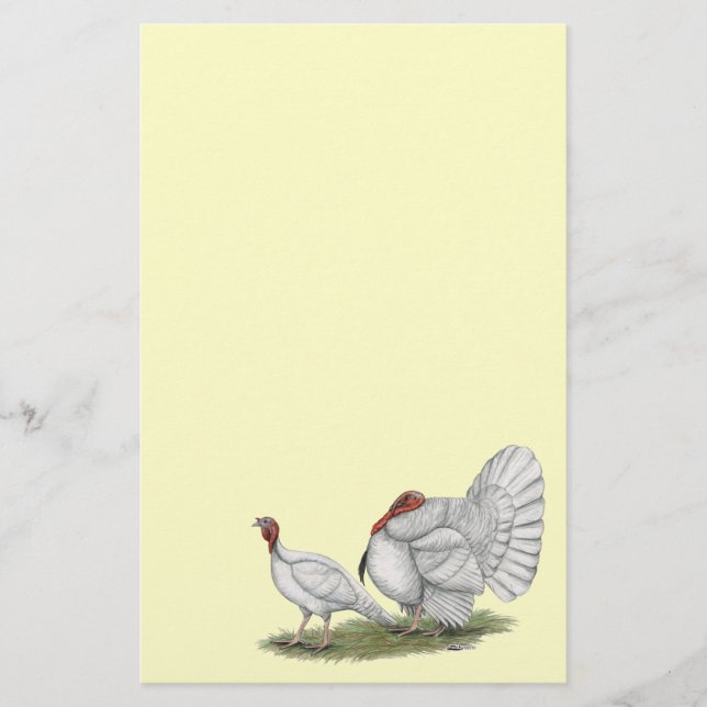 Turkeys White Holland (Vorderseite)