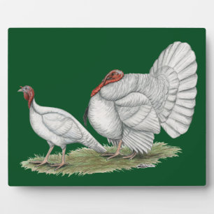 Turkeys White Holland Fotoplatte