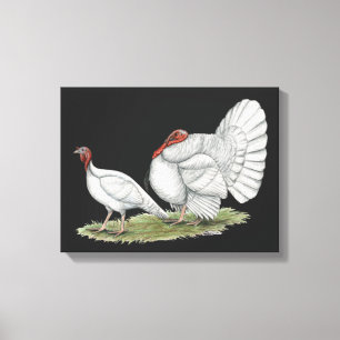 Turkeys White Holland Leinwanddruck