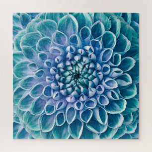 Türkis Dahlia Blume Makro Hintergrund