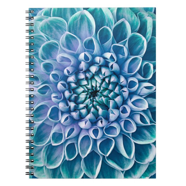 Türkis Dahlia Blume Makro Hintergrund Notizblock (Vorderseite)