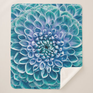 Türkis Dahlia Blume Makro Hintergrund Sherpadecke